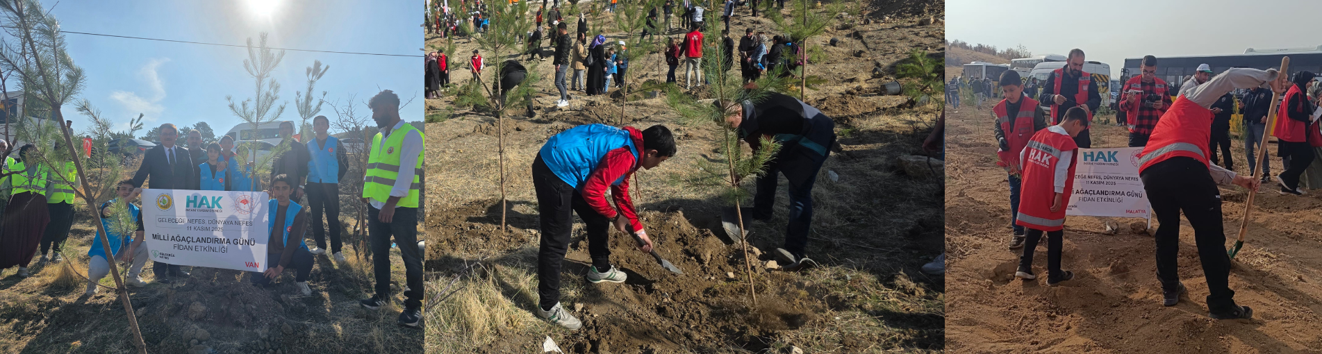 Van'da ve Malatya'da Fidan Dikim Etkinliği