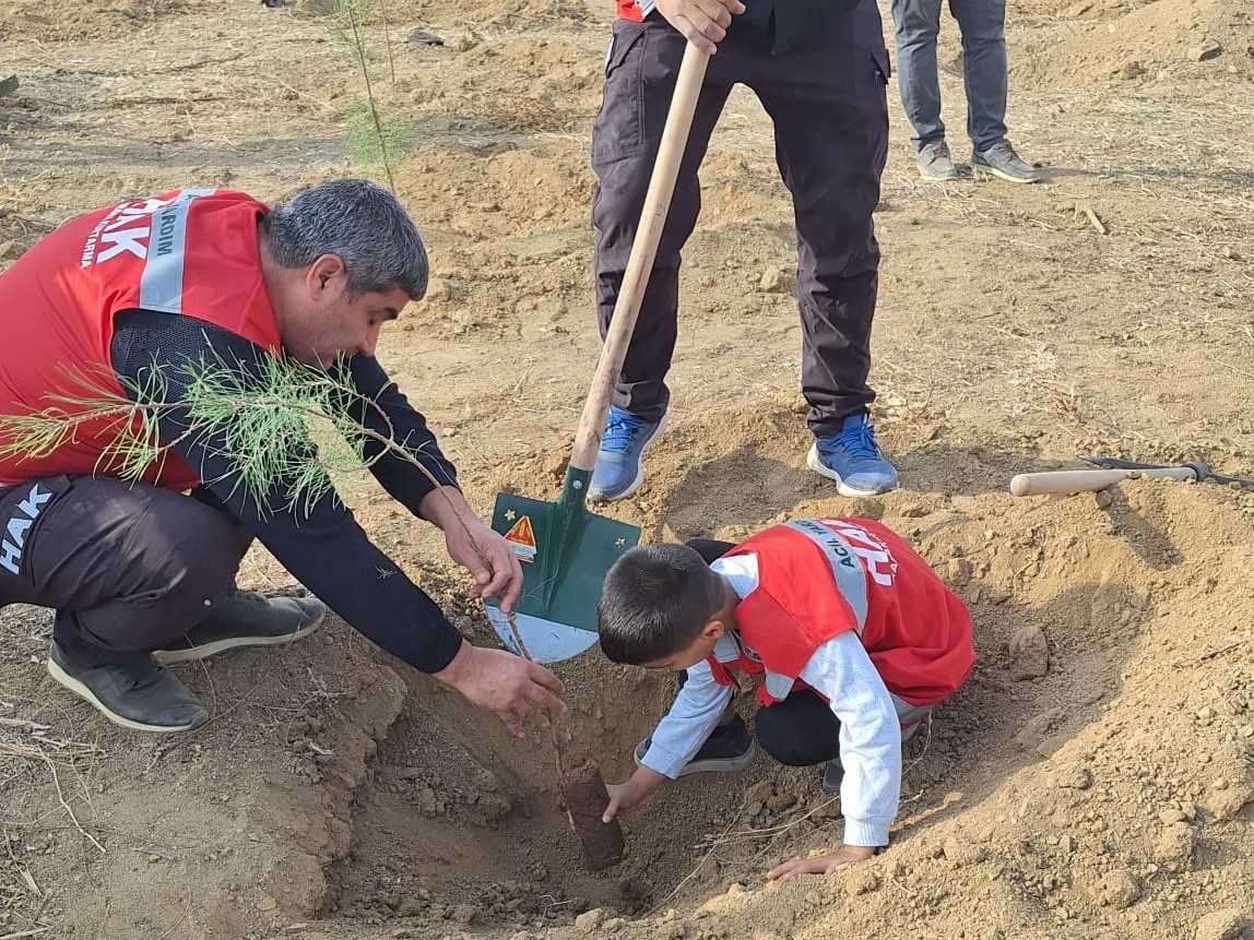 Van'da ve Malatya'da Fidan Dikim Etkinliği ağaç dikim (1)
