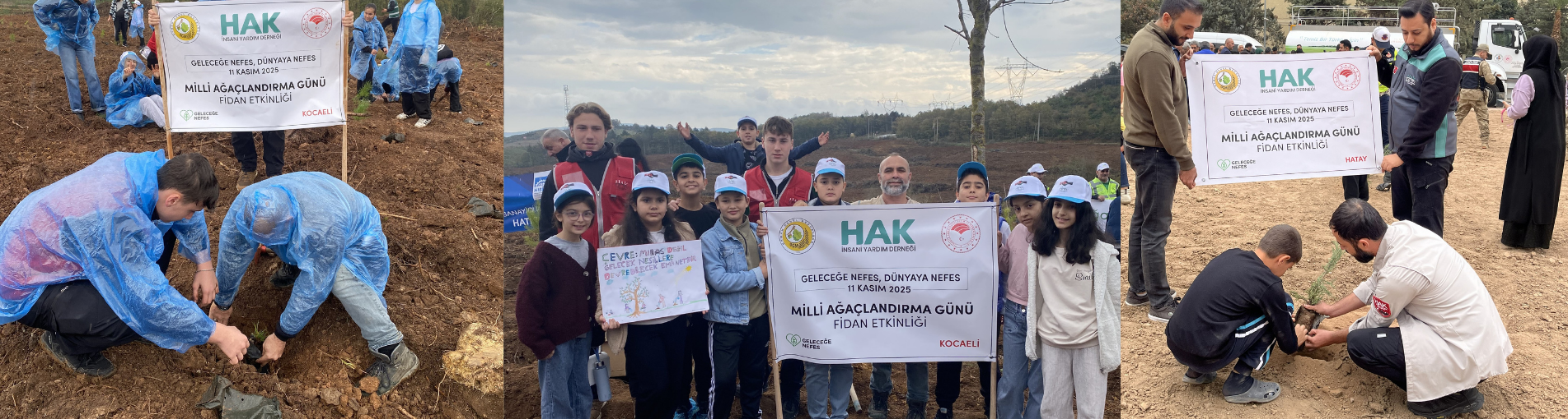 Kocaeli'de ve Hatay'da Fidan Dikim Etkinliği