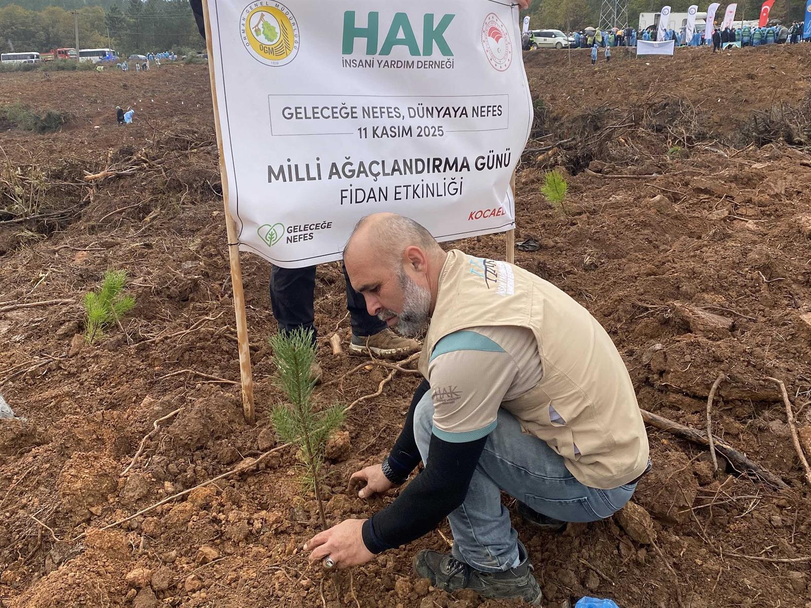 Kocaeli'de ve Hatay'da Fidan Dikim Etkinliği kocaeli (1)