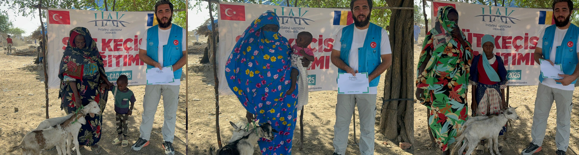 Çad'da Süt Keçisi Dağıtımı