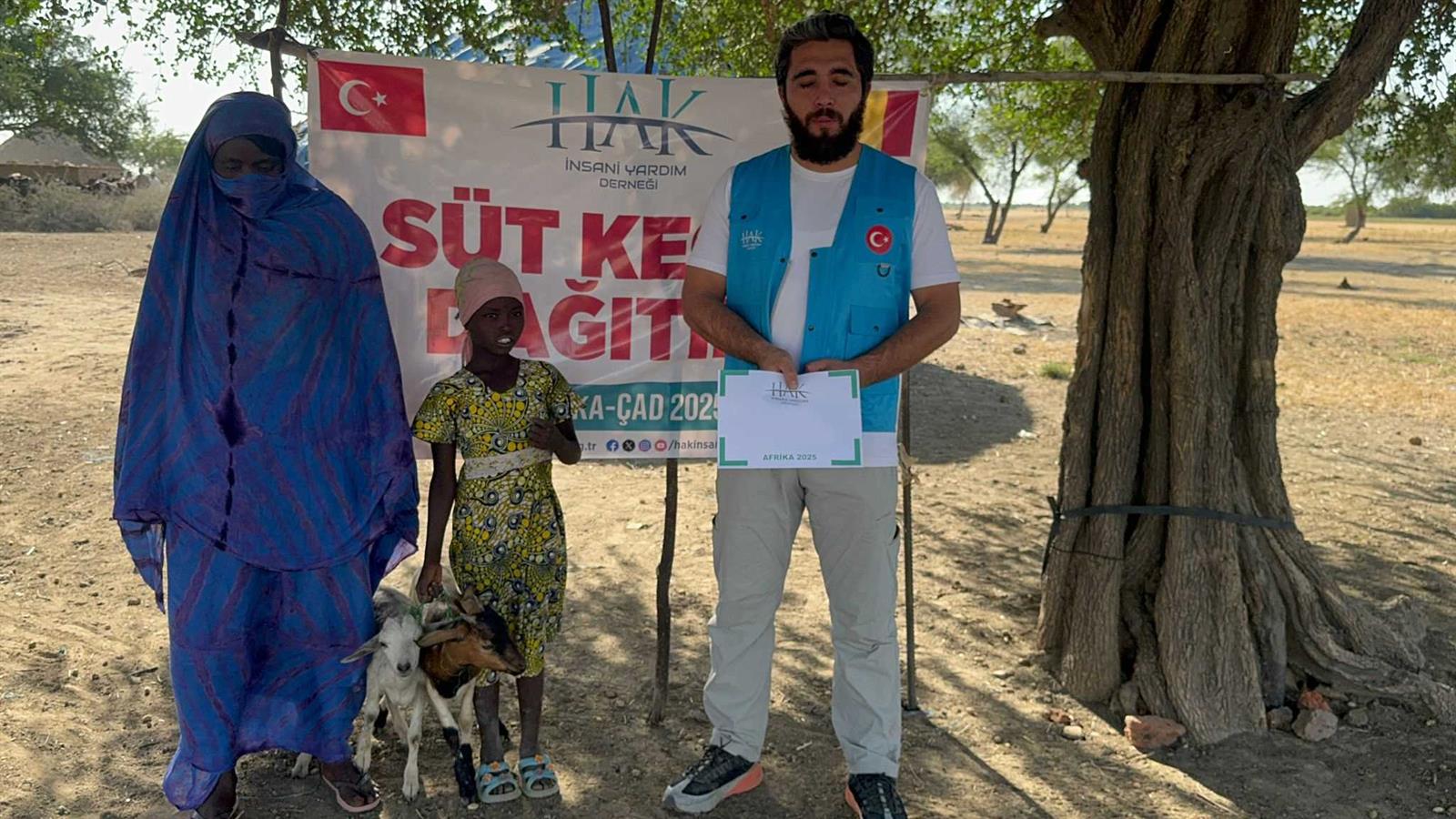 Çad'da Süt Keçisi Dağıtımı süt keçisi (2)