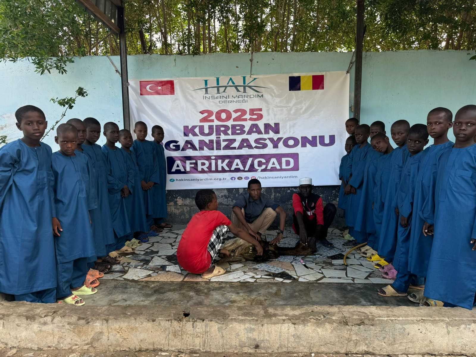 Afrika'da Adak-Akika-Şükür Kurban Kesimleri